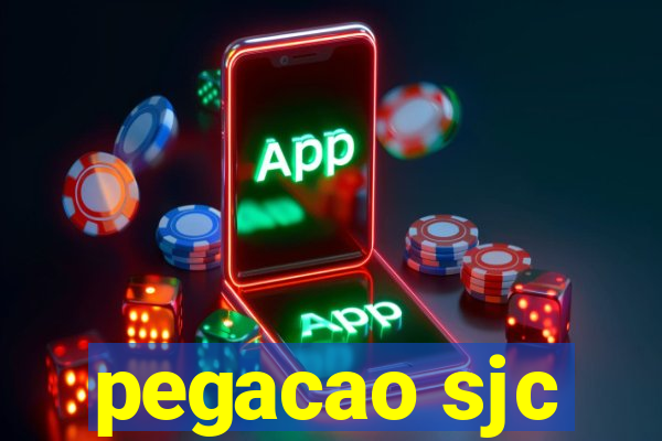 pegacao sjc